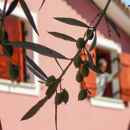 Eliza * Akrotiri (Zakynthos)